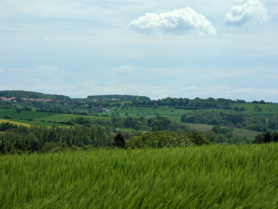 Paradiesgartenweg, Hornbach
13. Mai 2023